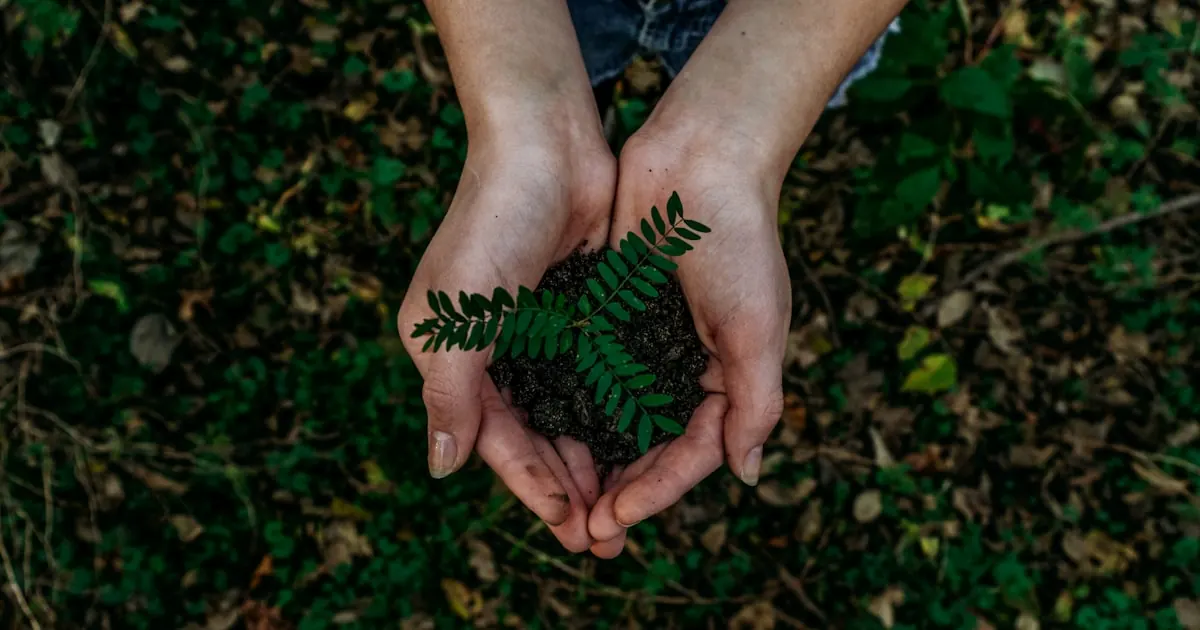 Green IT et cloud : comment réduire l'empreinte carbone de vos infrastructures
